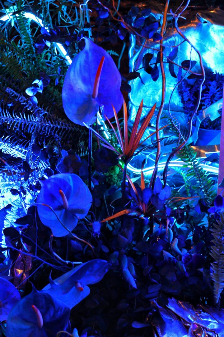 50 aniversario de Reciclajes y Transformaciones en Rex Natura, evento organizado por El Jardín & Co